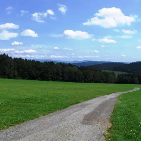 Im Bayerischen Wald Mit Terrasse * Viechtach