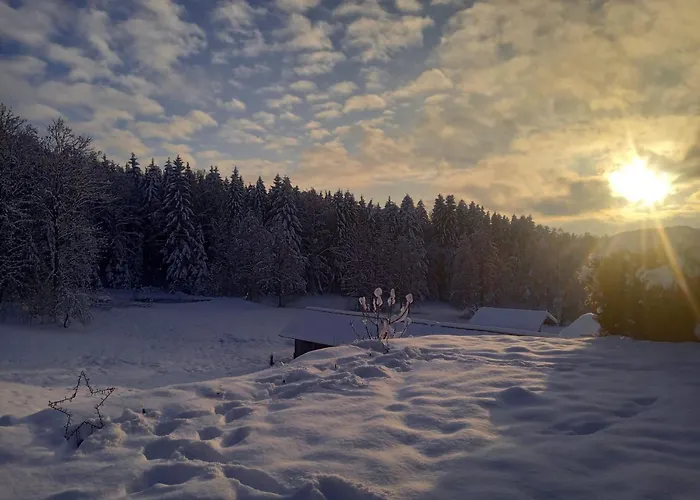 Im Bayerischen Wald Mit Terrasse *