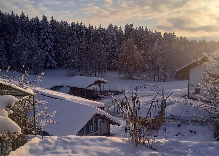 Im Bayerischen Wald Mit Terrasse Apartmán