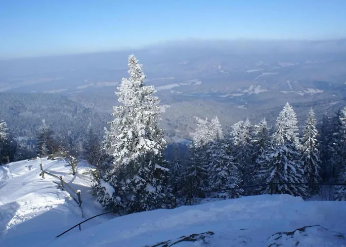 Im Bayerischen Wald Mit Terrasse Viechtach