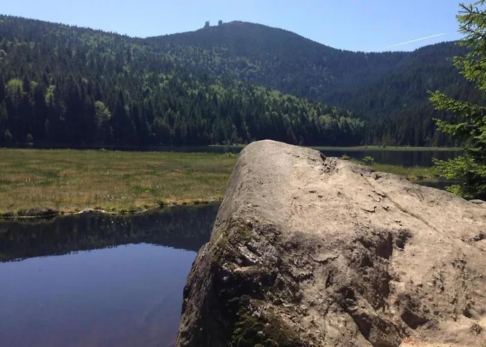 Apartmán Im Bayerischen Wald Mit Terrasse
