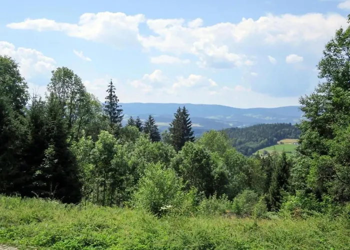 Im Bayerischen Wald Mit Terrasse