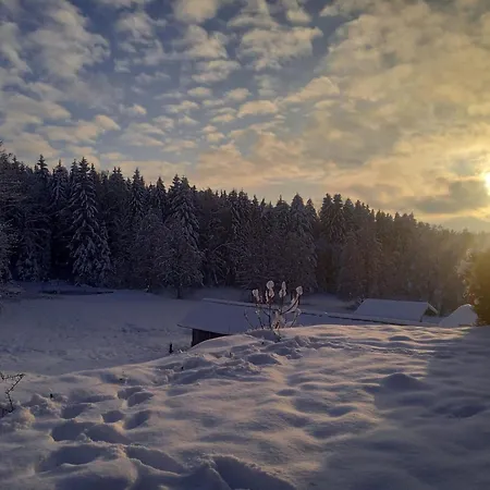 Im Bayerischen Wald Mit Terrasse *