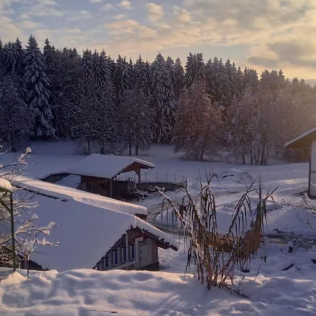 Im Bayerischen Wald Mit Terrasse アパート