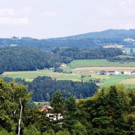 Appartement Im Bayerischen Wald Mit Terrasse Viechtach