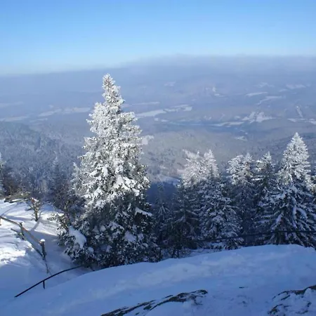 Im Bayerischen Wald Mit Terrasse Viechtach