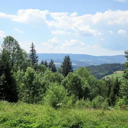 Im Bayerischen Wald Mit Terrasse