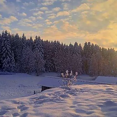 Im Bayerischen Wald Mit Terrasse アパート *