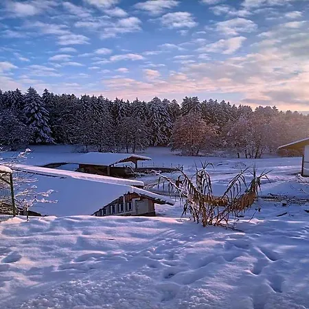 Im Bayerischen Wald Mit Terrasse * ヴィヒタッハ