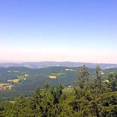 アパート Im Bayerischen Wald Mit Terrasse ヴィヒタッハ