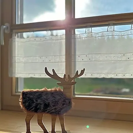 アパート Im Bayerischen Wald Mit Terrasse