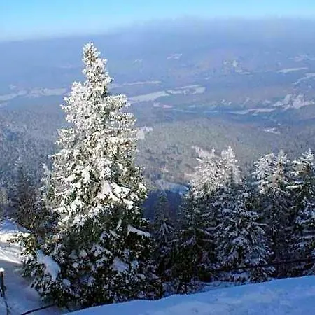 Im Bayerischen Wald Mit Terrasse ヴィヒタッハ