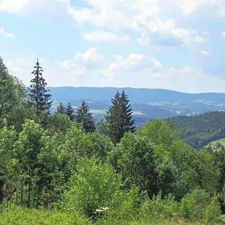Im Bayerischen Wald Mit Terrasse ヴィヒタッハ