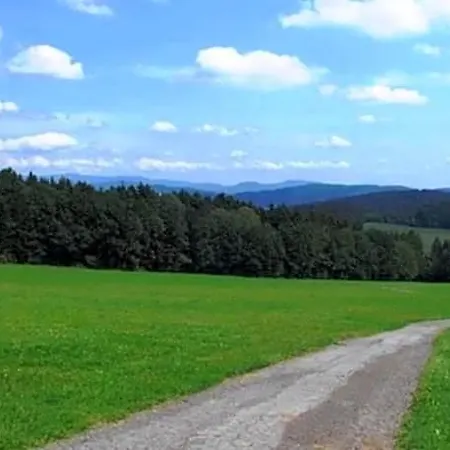 アパート Im Bayerischen Wald Mit Terrasse *