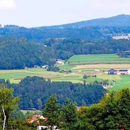 Im Bayerischen Wald Mit Terrasse アパート ヴィヒタッハ