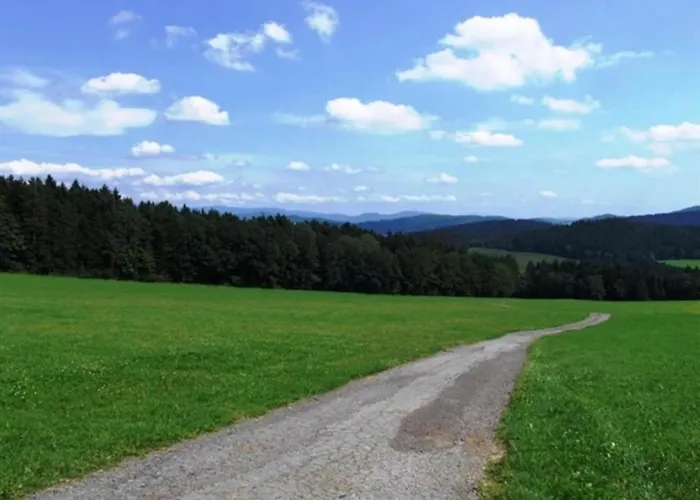 Im Bayerischen Wald Mit Terrasse * Viechtach